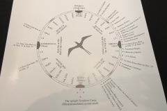 Navigational maps