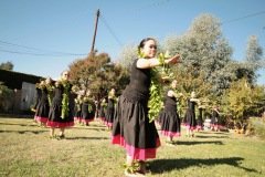 Papa Lehua