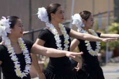 Papa ʻIeʻie    PC: Ryan Urak