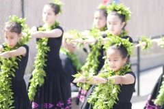 Papa Lehua Makanoe    PC: Ryan Urak