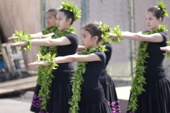 Papa Lehua Makanoe    PC: Ryan Urak