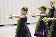 Papa Lehua Makanoe    PC: Ryan Urak