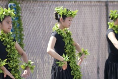 Papa Lehua    PC: Ryan Urak