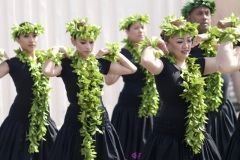 Papa Lehua    PC: Ryan Urak