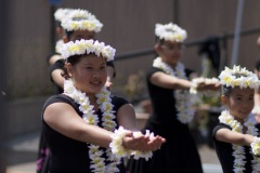 Papa Pīkake & Papa Pua Mohala    PC: Ryan Urak