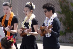 Intermediate Papa ʻUkulele    PC: Ryan Urak