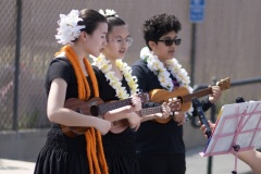 Intermediate Papa ʻUkulele    PC: Ryan Urak